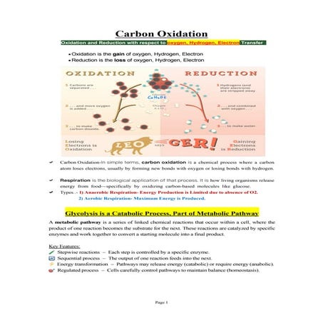 Bacteria Chapter in HIndi & English for B.Sc. Botany | PDF