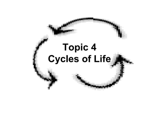 Carbon-Oxygen Cycle