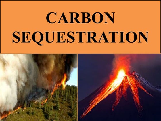 Carbon Sequestration environment AES.pptx
