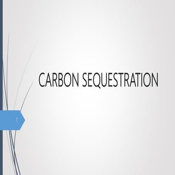 Carbon sequestration