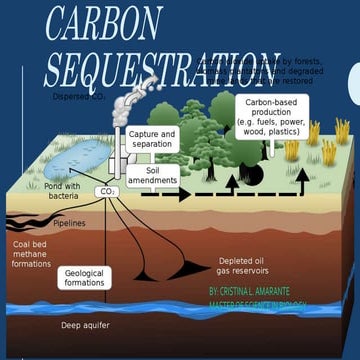 CARBON_SEQUESTRATION in a unique way and more