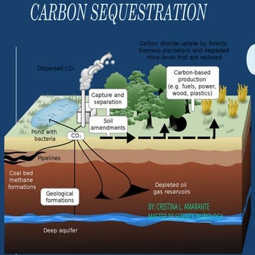 Carbon capture and storage aims to prevent CO2 emissions from large stationar...