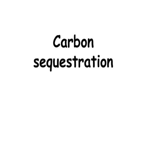 Carbon sequestration method redefined briefly
