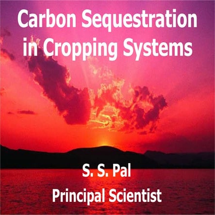 Carbon sequestration in cropping system