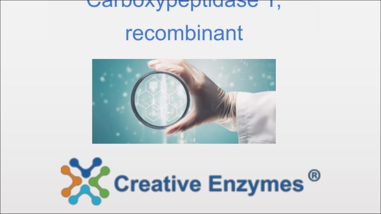 Carboxypeptidase y