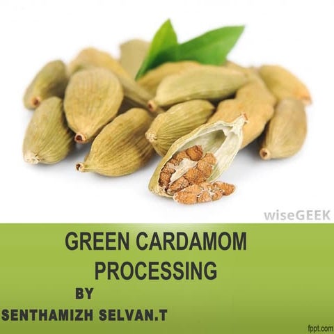 GREEN CARDAMOM PROCESSING-"QUEEN OF SPICES"