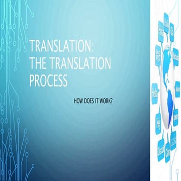 The translation process: How does it work?