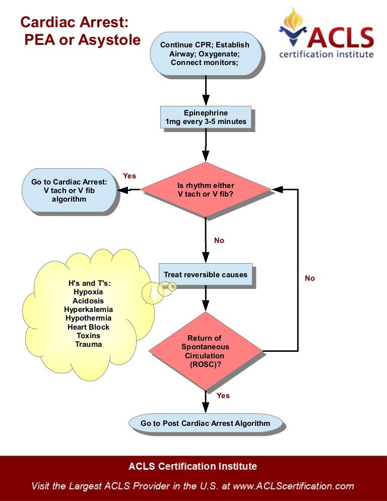 Adult Cardiac Arrest Algorithm