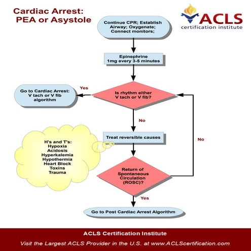 Adult Cardiac Arrest Algorithm | PDF