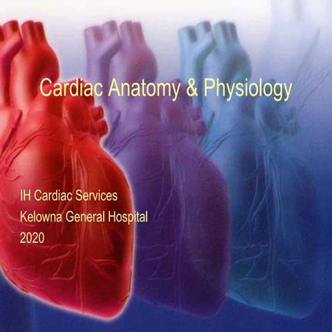 Cardiac anatomy and physiology