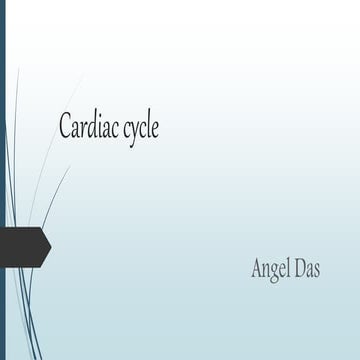 Cardiac cycle