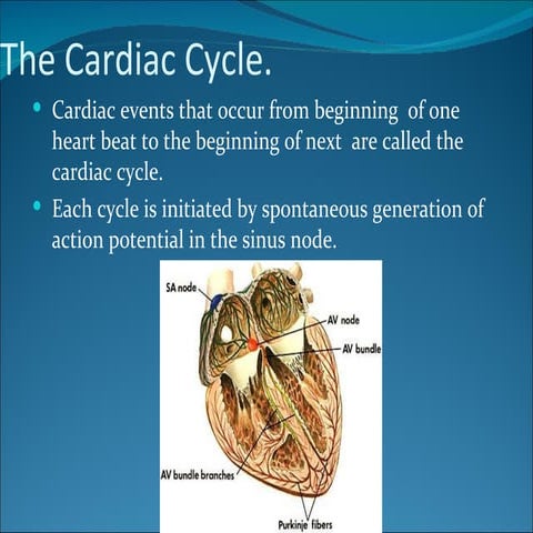 Cardiac  cycle.full