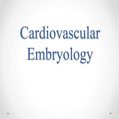 Cardiac Embryology basics.pptx