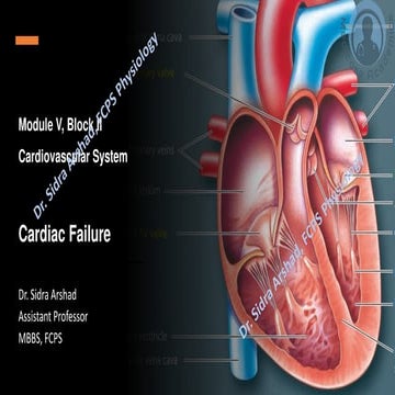 Cardiovascular Physiology - Cardiac Failure | PDF