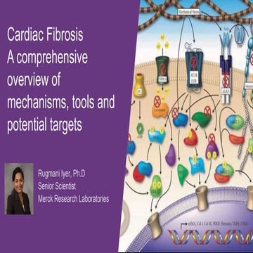 Cardiac Fibrosis – A Comprehensive Overview of Mechanisms, Tools and ...