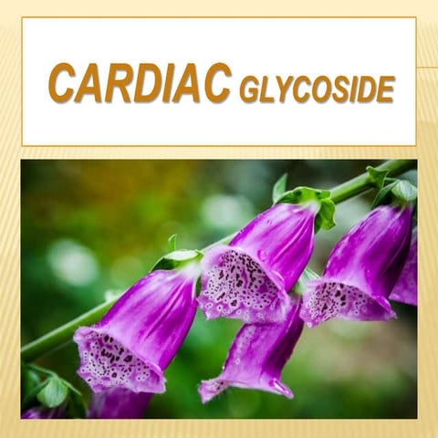 Cardiac glycoside PHARMACOLOGY