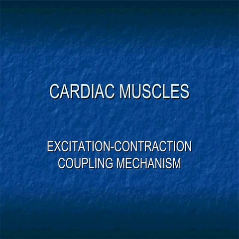 Cardiac muscles excitation contraction
