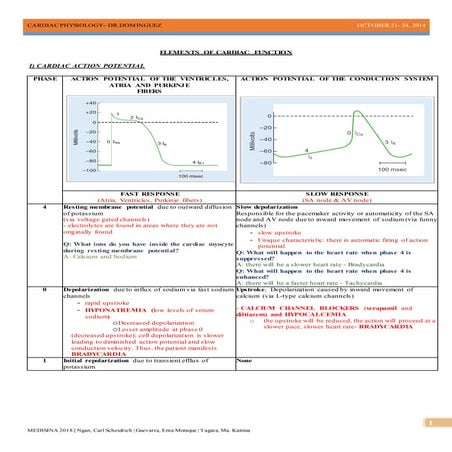 Cardiac action potential | PDF
