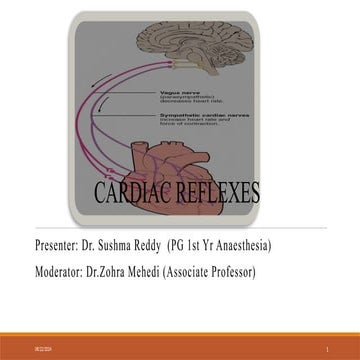 CARDIAC REFLEXES ppt cardiac reflexes .pptx