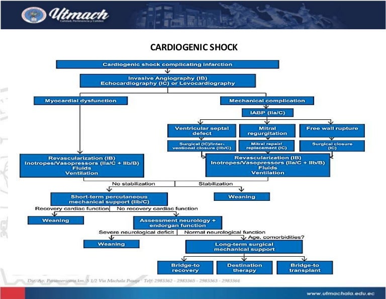 Cardiogenic shock algorithm