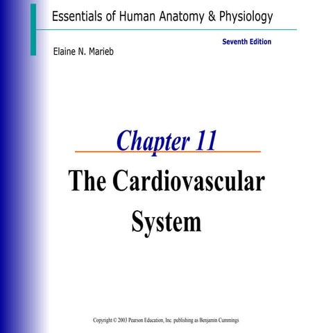 Cardiovascular