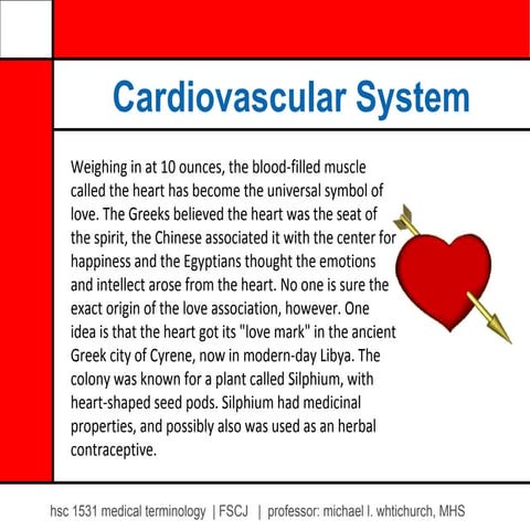 Cardiovascular System