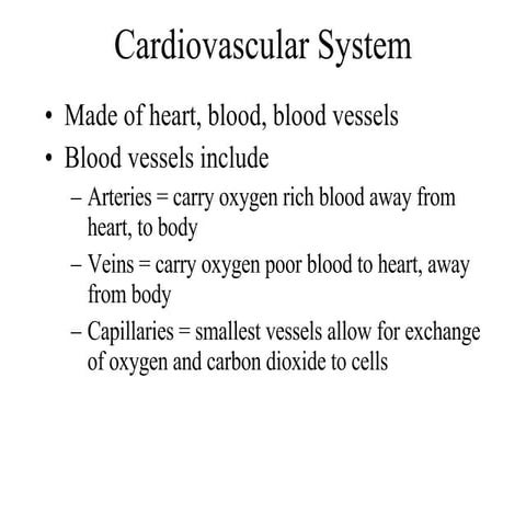 Cardiovascular System