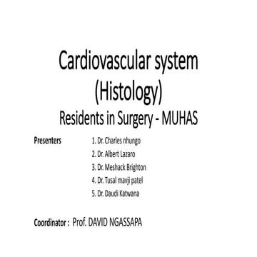 Histology Anatomy of Cardiovascular System