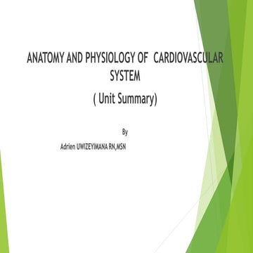 CARDIOVASCULAR AND RESPIRATORYSYSTEM  SUMURY.pptx