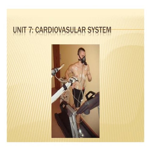 Biology 12 - Cardiovascular System