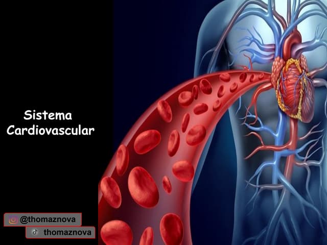 Cardiovascular_fisiologia_humana_2025.pdf