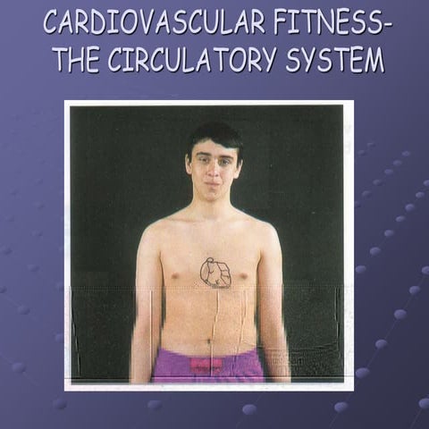 Cardiovascular fitness the circulatory system | PPT