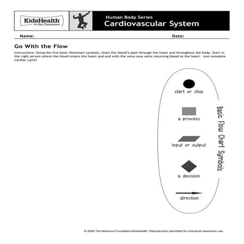 Cardiovascular handout | PDF