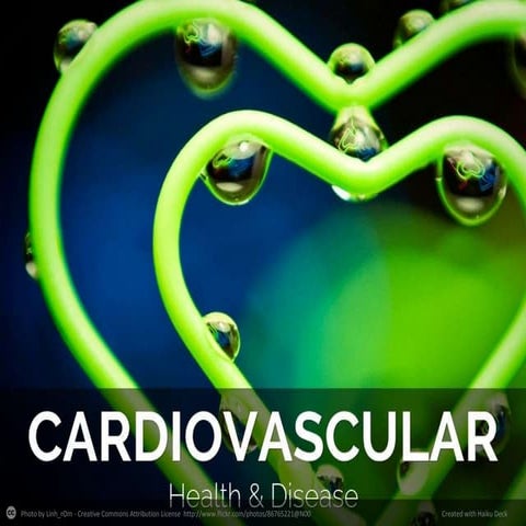 Cardiovascular health & disease