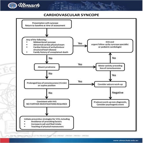 180 aortic thermography catheter | PPT