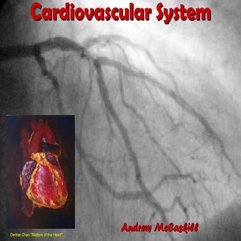 Cardiovascular system