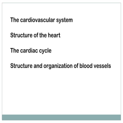 Cardiovascular system