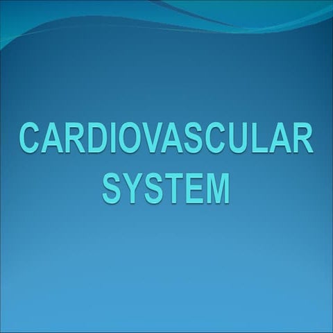 Cardiovascular system