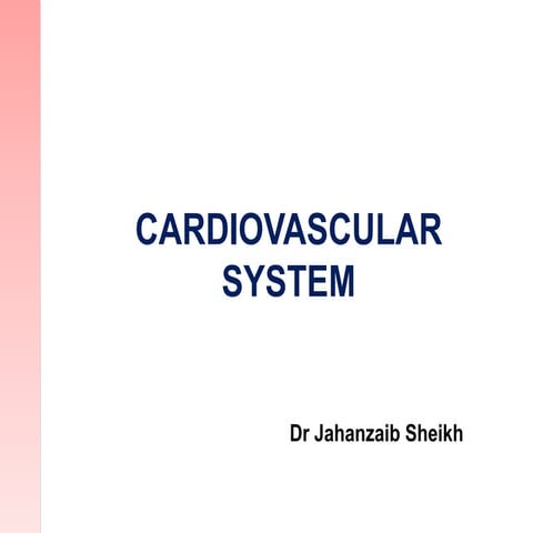 Cardiovascular system