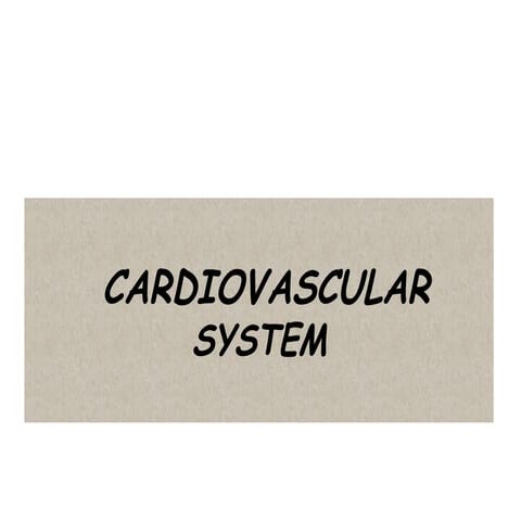 Cardiovascular system ppt | PPT