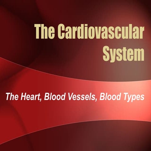 Cardiovascular system