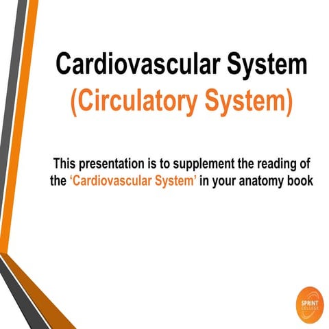 Cardiovascular system