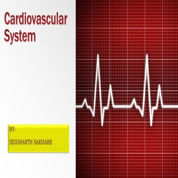 Cardiovascular system 