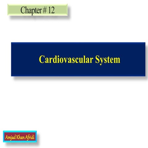 Cardiovascular system