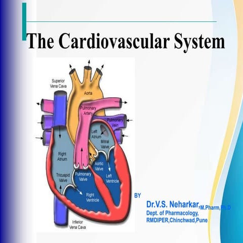 Cardiovascular system.pptx..............