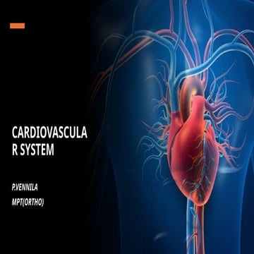 cardiovascular system.right&left side of the hear.