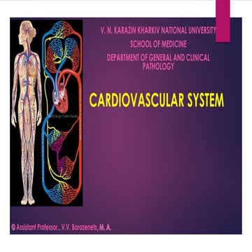 Lecture: Cardiovascular system (Special Histology)