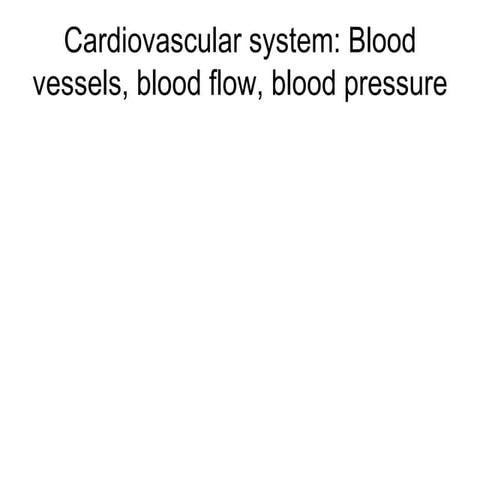 Cardiovascular system flow and pressure