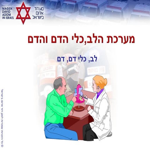 Cardio vascularsystemanatomy 60