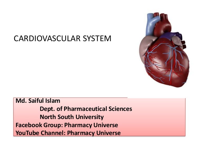 Cardiovascular system (blood pressure, hypertension)